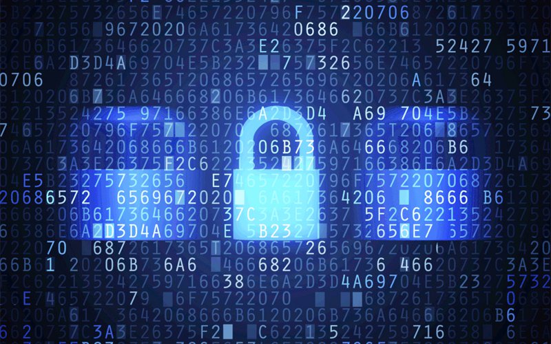 Ceo Responsibilities For Data Breach